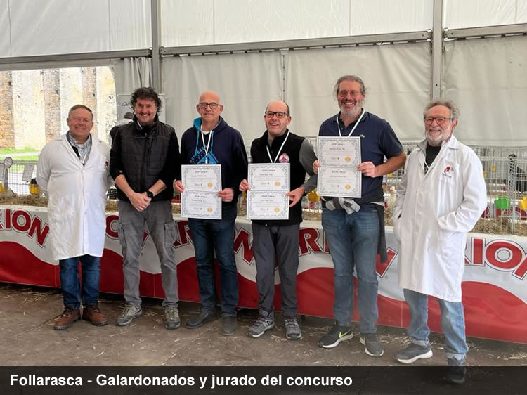 follarasca gallina del Sobrarbe