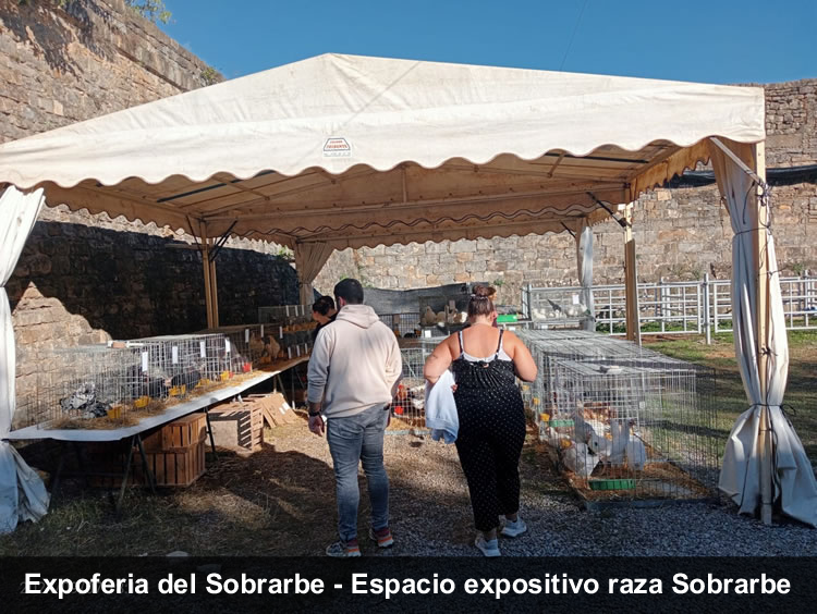 Expoferia Sobrarbe gallina del Sobrarbe